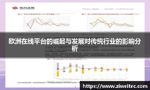 欧洲在线平台的崛起与发展对传统行业的影响分析